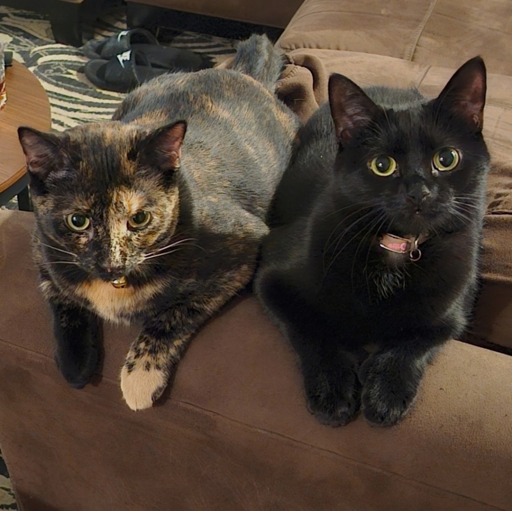 Meet your Posher, Jeannine